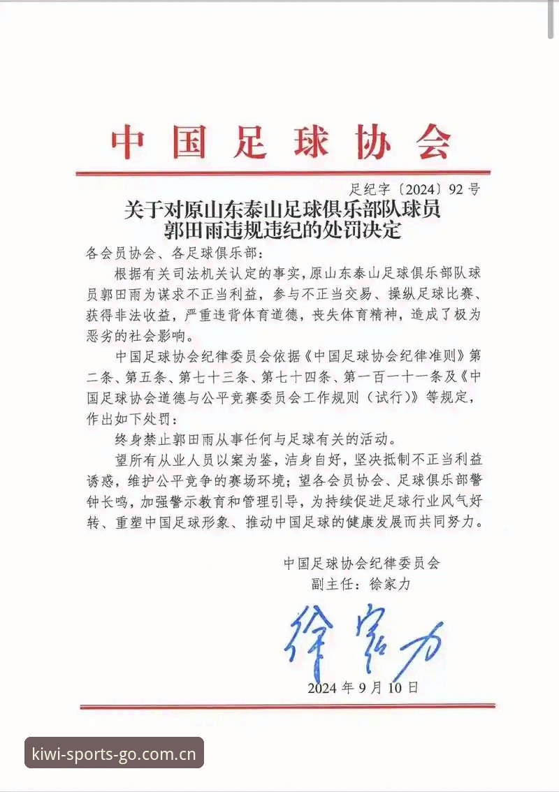 资深用户分享：从足协最新禁足名单看中国足球的深层治理与观赛体验